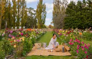 58 Moroa Road, Tauherenikau