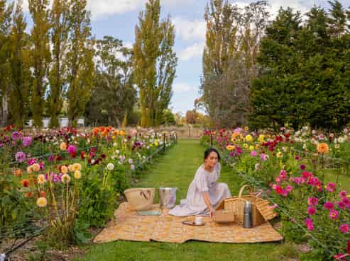 58 Moroa Road, Tauherenikau