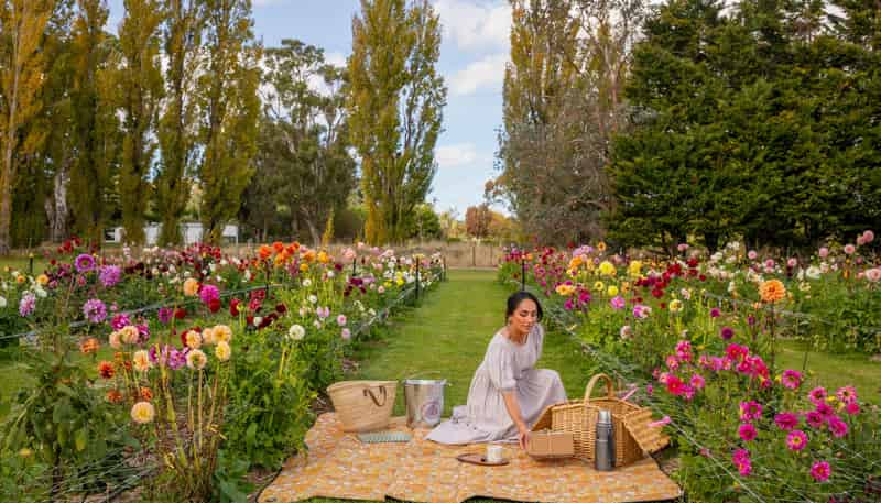 58 Moroa Road, Tauherenikau