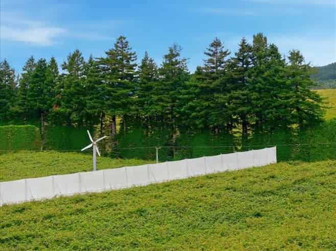 1399A No. 3 Road, Te Puke