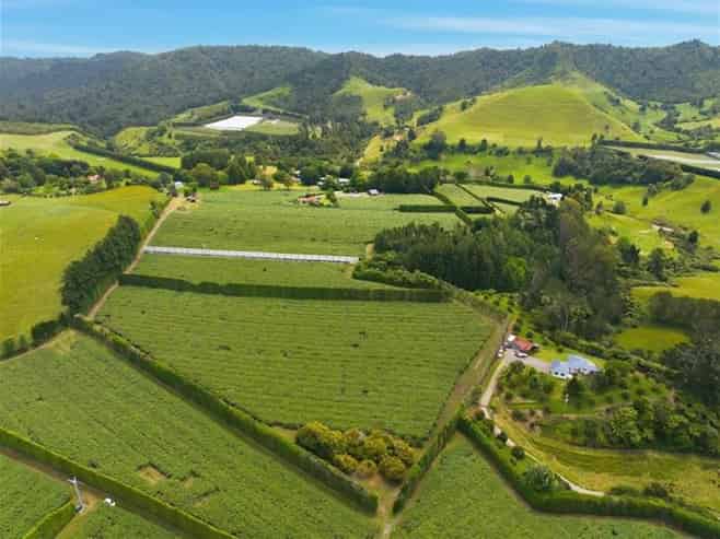 1399A No. 3 Road, Te Puke