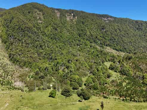  Tutaki Road South, Murchison