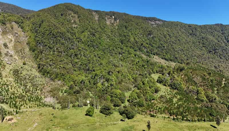  Tutaki Road South, Murchison