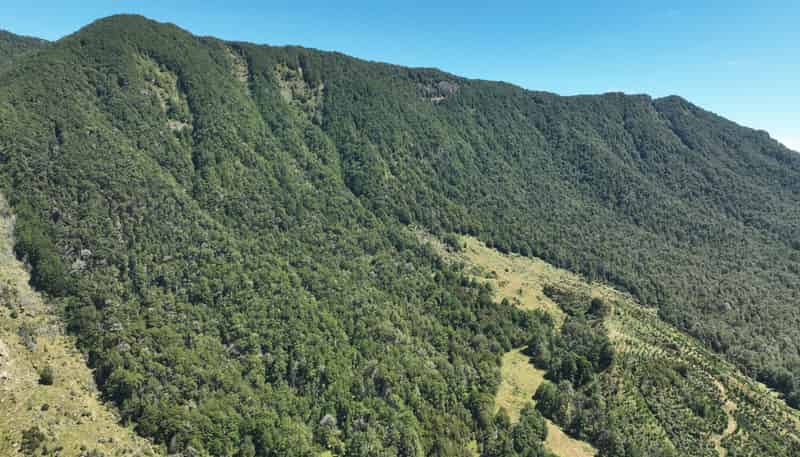  Tutaki Road South, Murchison