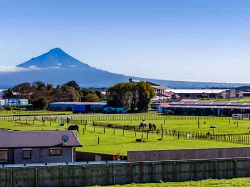 38 A,B,C,D Fantham Street, Hawera