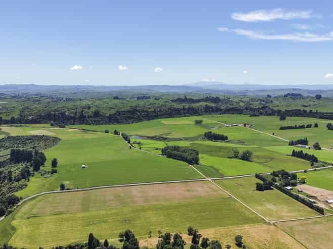  Generational Opportunities, Palmerston North