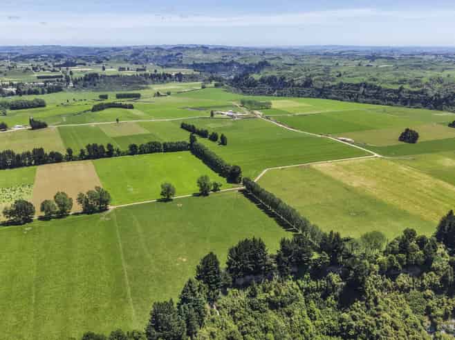  Generational Opportunities, Palmerston North