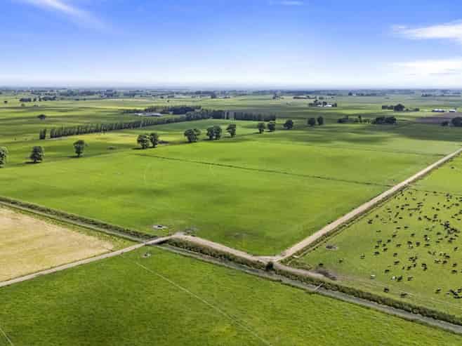  Generational Opportunities, Palmerston North