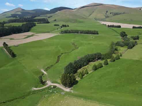 56 Hillfoot Road, Clinton and Surrounds