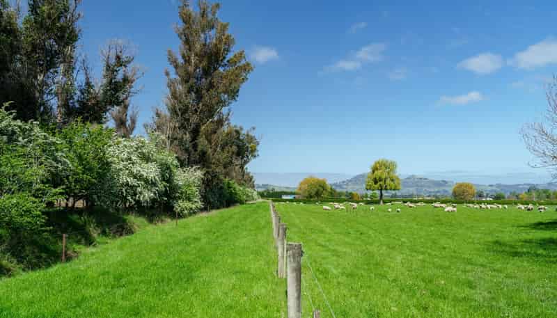 65 School Road North, North Taieri