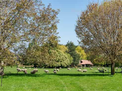 65 School Road North, North Taieri