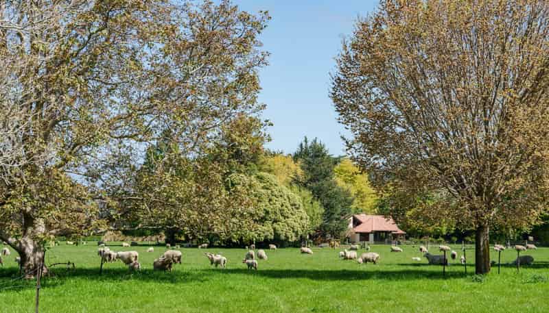 65 School Road North, North Taieri