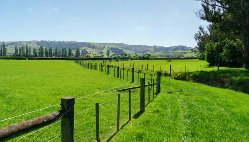 65 School Road North, North Taieri