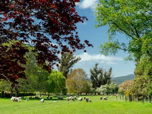 65 School Road North, North Taieri