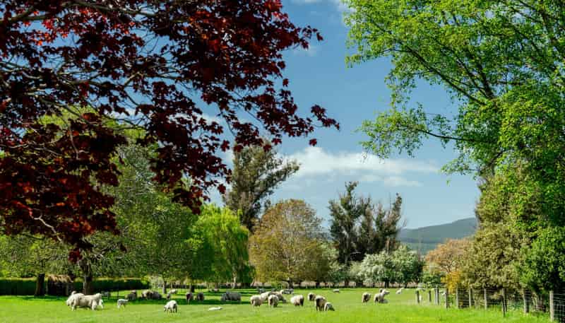 65 School Road North, North Taieri
