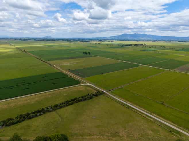 251 Collins Road, Temple View