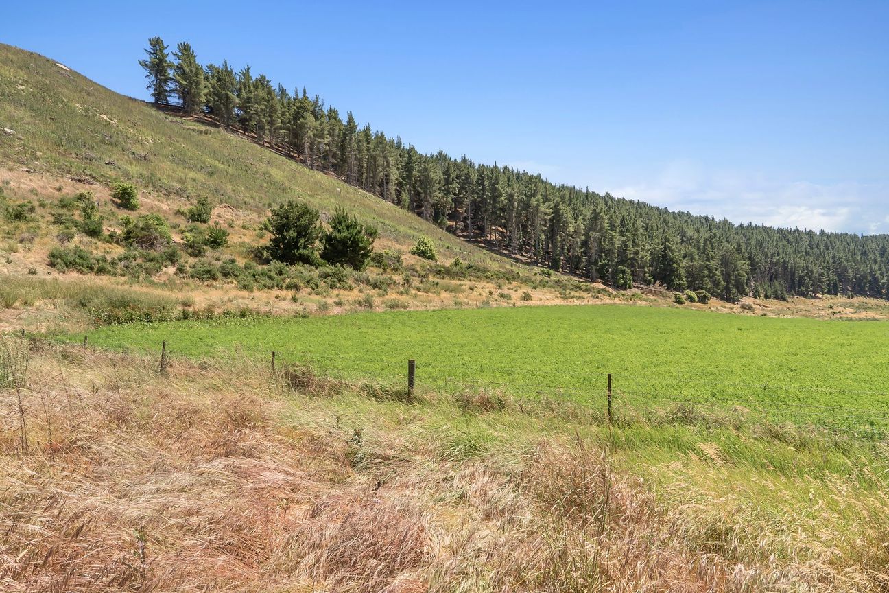 Lake McKay New Release Stage 3  - From $450,000 - Ansicht 5
