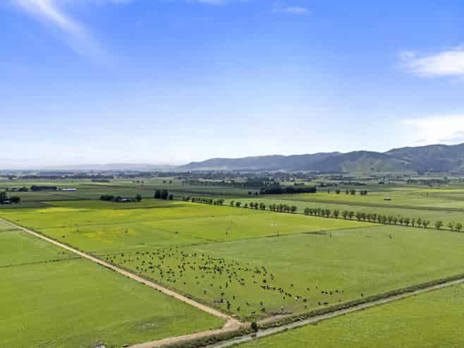 145 Campbells Road, Opiki