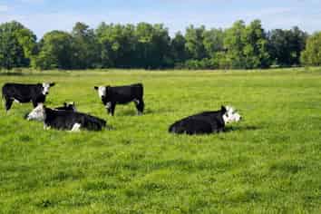 46B Hana Lane, Tamahere