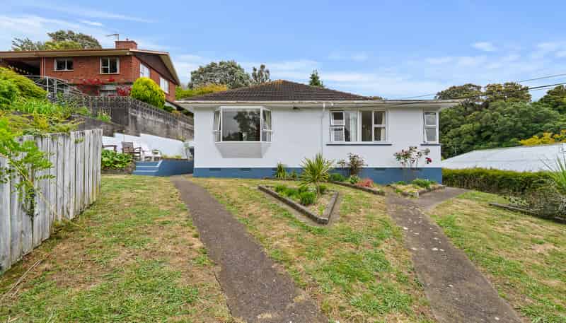 108 Huatoki Street, Frankleigh Park