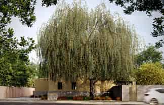 1/143 Centaurus Road, Saint Martins