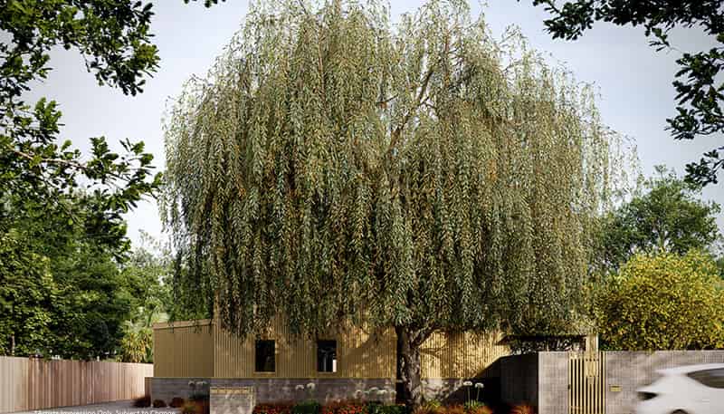 1/143 Centaurus Road, Saint Martins