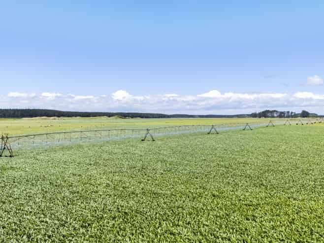 715 Santoft Road, Bulls