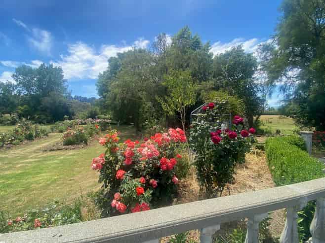 333 Munro Road, Cheviot