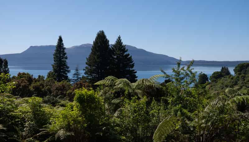 442 Spencer Road, Lake Tarawera