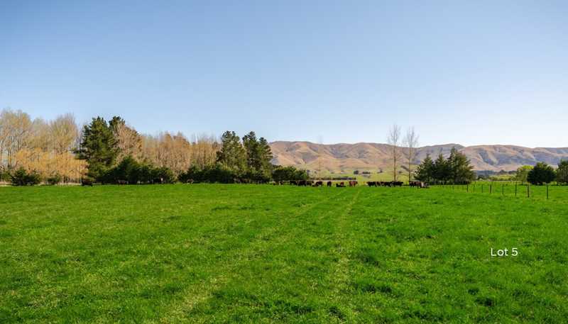 141 Nixons Road, Fairlie