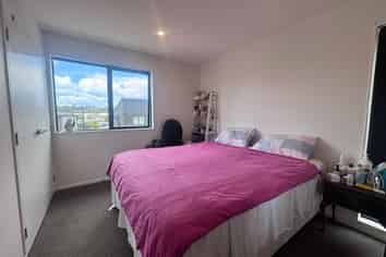 62 Selo Street, Glen Eden