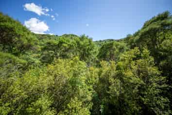 39 Lookout Road, Peel Forest, Geraldine