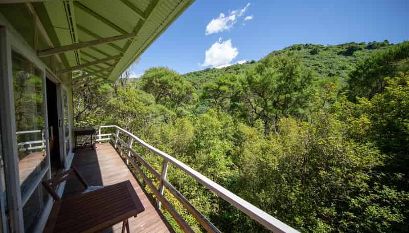 39 Lookout Road, Peel Forest, Geraldine