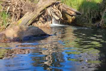  Larmer Road, Ahipara