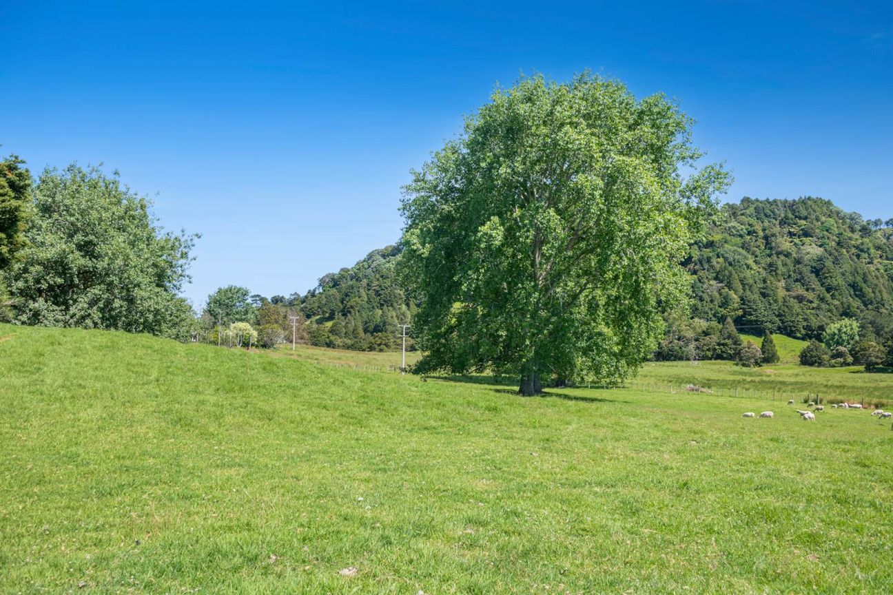 PRICE REDUCED! MAKE YOUR MOVE NOW! - Visning 6