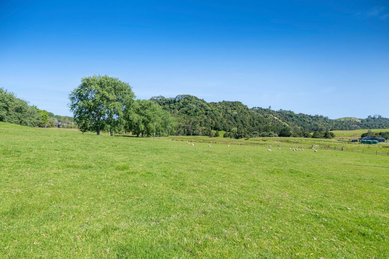 PRICE REDUCED! MAKE YOUR MOVE NOW! - Visning 3