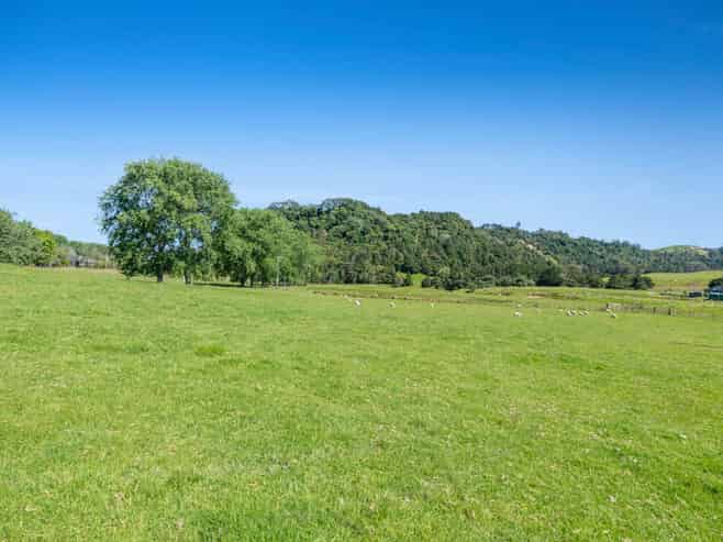 299 Haruru Road, Kaukapakapa