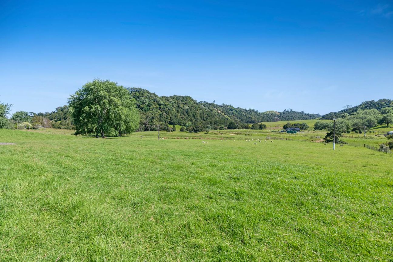 PRICE REDUCED! MAKE YOUR MOVE NOW! - Visning 5