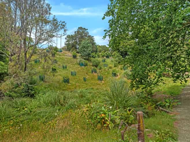  Proposed subdivision - 141 Valley Road, Mangapapa