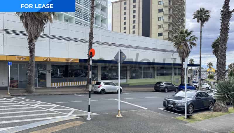 A/12 Osterley Way, Manukau