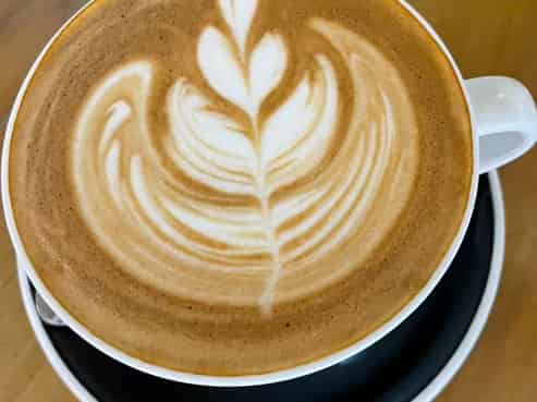 Café Franchise - Prime North Christchurch Location