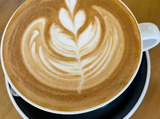 Café Franchise - Prime North Christchurch Location