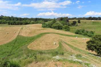 85 Barraud Street, Dannevirke