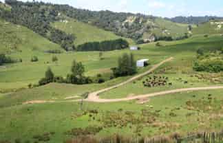 1099 Mataro Road, Urenui