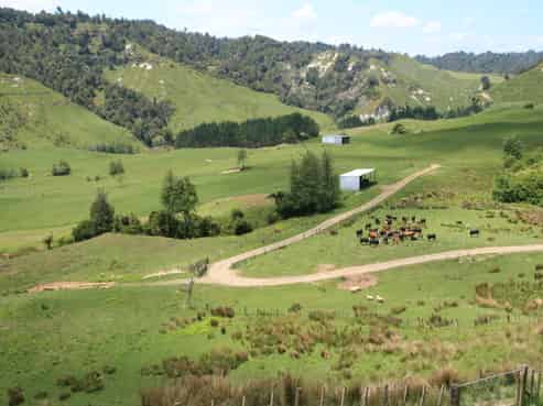 1099 Mataro Road, Urenui