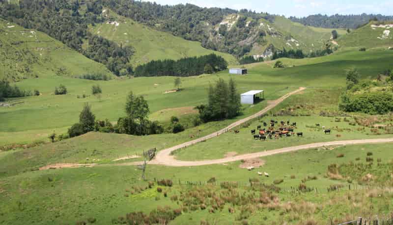 1099 Mataro Road, Urenui