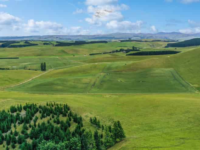 70 Finlay's Road, Windsor