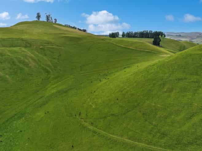 70 Finlay's Road, Windsor