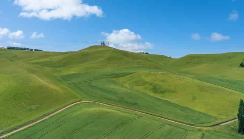 70 Finlay's Road, Windsor