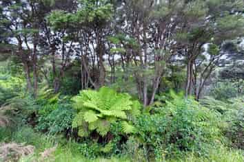 3 Carnell Lane, Pinehill